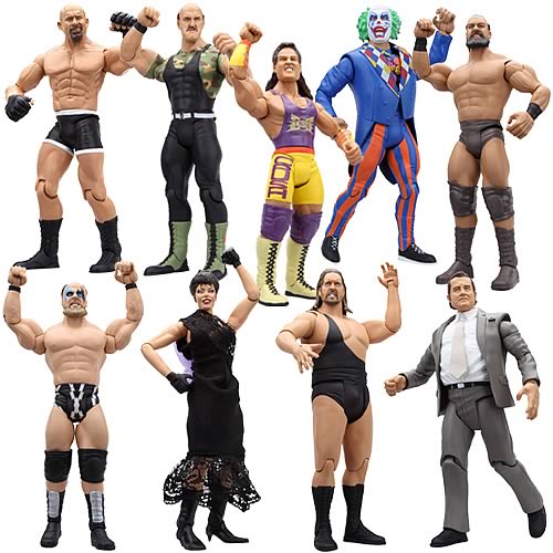WWE Classic Superstars Wave 27 Action Figure Case