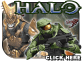 Halo!