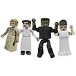 Universal Monsters Frankenstein Minimates Box Set           
