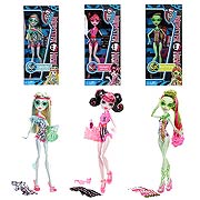 Monster High Swim Dolls Case                                